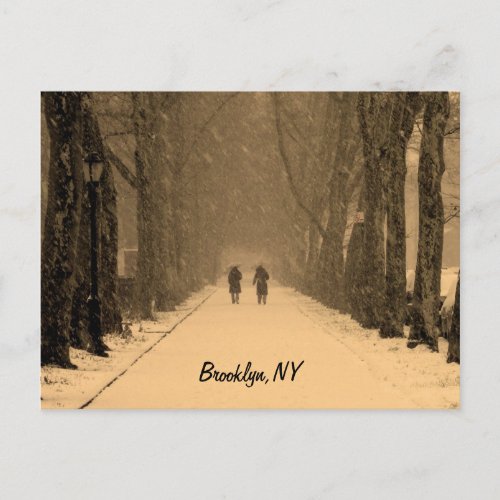 Wintry Brooklyn Postcard