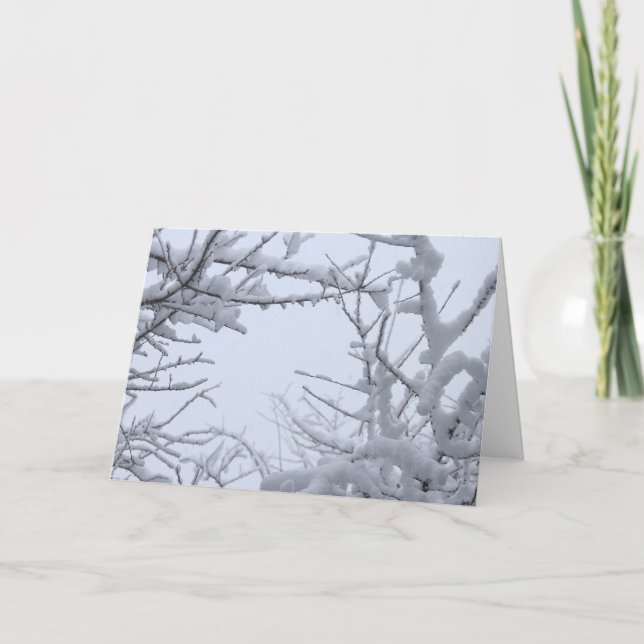 Wintry Frozen Branches Framing Sky Card (Front)