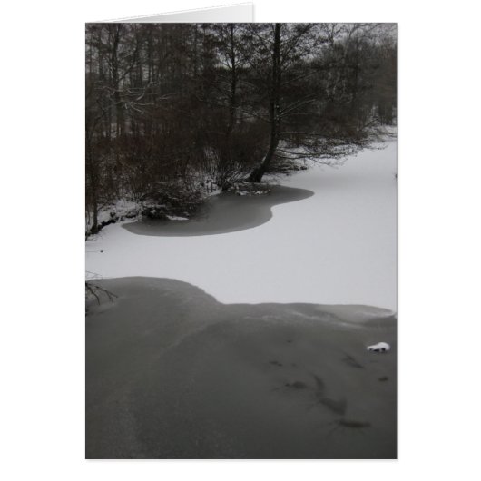 Wintry Lake Cards (Front)