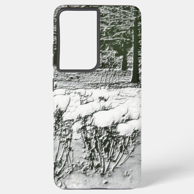 Wintry Park  Samsung Galaxy Case (Back)