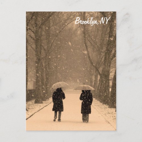 Wintry Walk Brooklyn Postcard