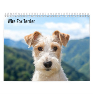 Wire Fox Terrier 2027 Calendar