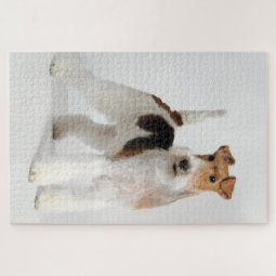 Wire Fox Terrier Dog Photo Jigsaw Puzzle | Zazzle