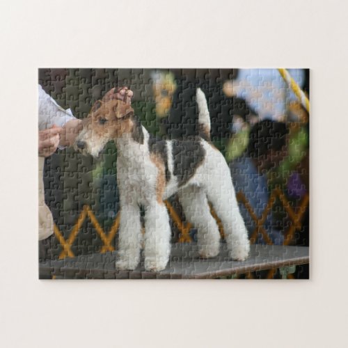 Wire Fox Terrier dog show Jigsaw Puzzle