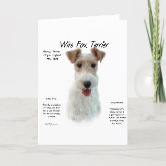 Wire Fox Terrier History; about wire fox terrier Card