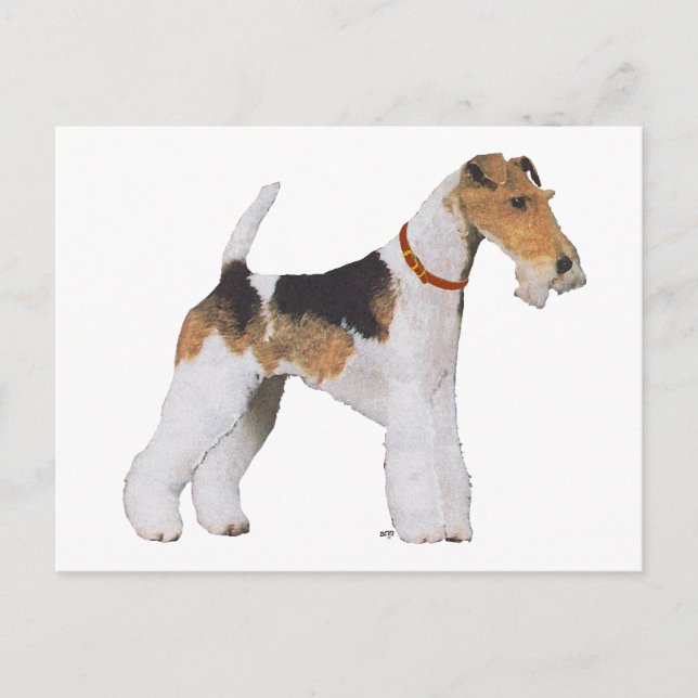 Wire Fox Terrier Postcard (Front)