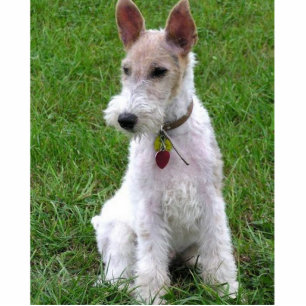 wire fox terrier sitting statuette