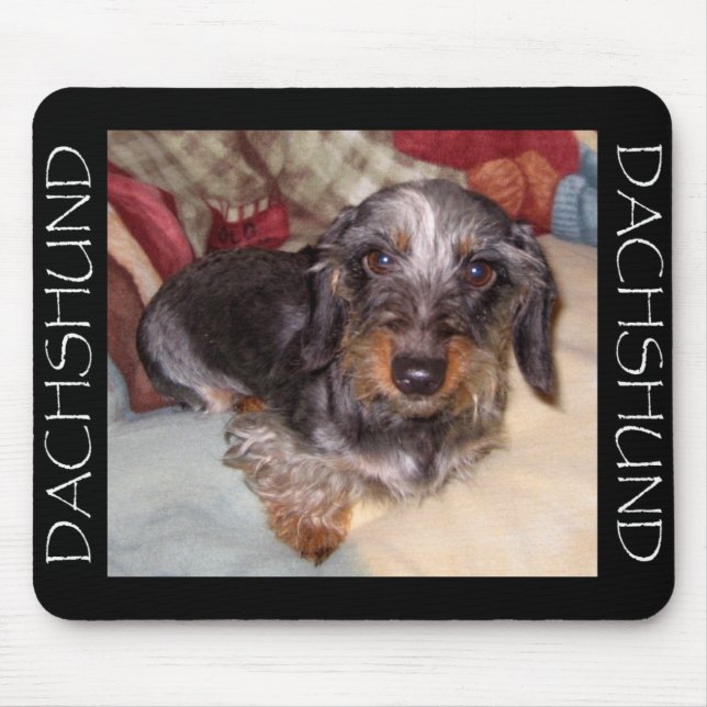Wire Hair Dachshund Mouse Pad (Front)
