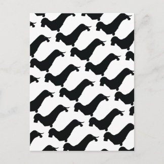 Wire Hair Dachshund Postcard