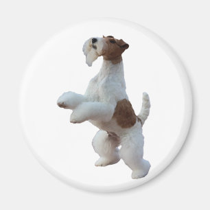 wire hair fox terrier magnet