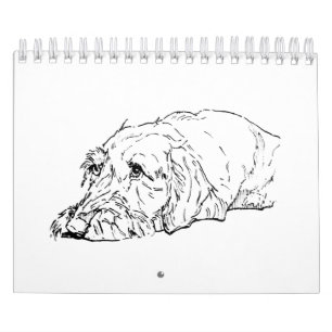 Wire Haired Dachshund 2027 Calendar