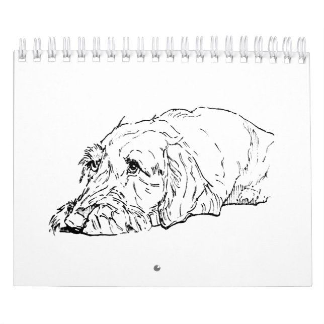 Wire Haired Dachshund 2027 Calendar (Cover)