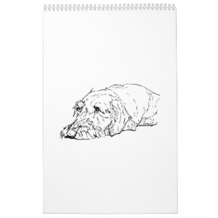 Wire Haired Dachshund 2027 Calendar
