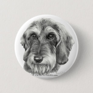 Wire-Haired Dachshund Button