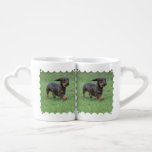 Wire Haired Dachshund Coffee Mug Set