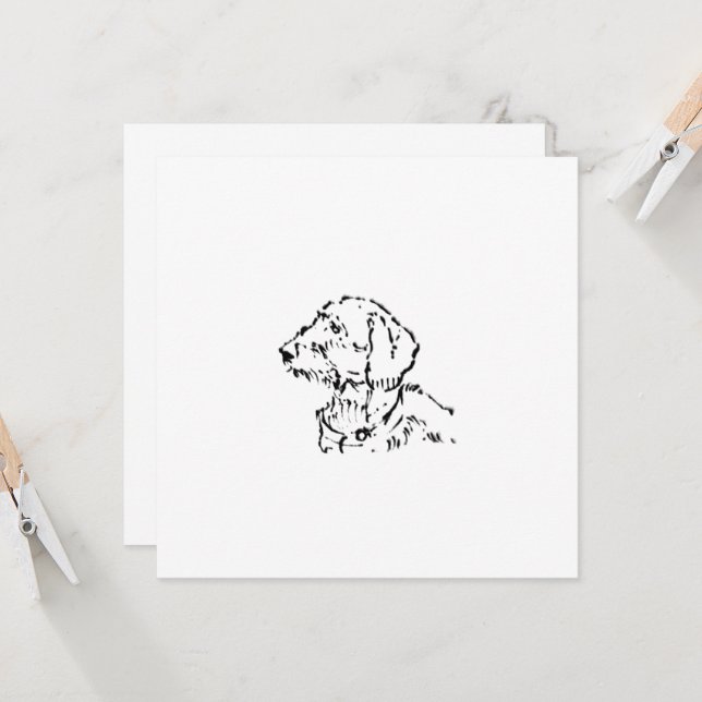 Wire Haired Dachshund Dog Parent (Front/Back In Situ)