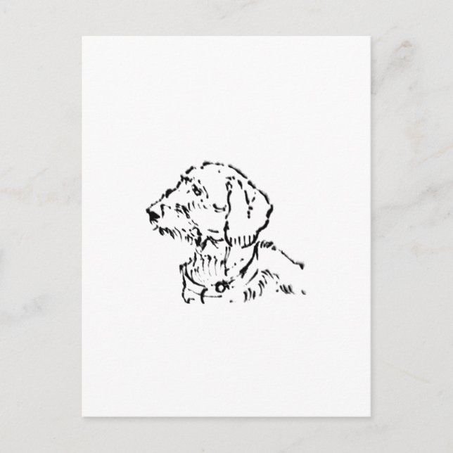 Wire Haired Dachshund Dog Parent Postcard (Front)