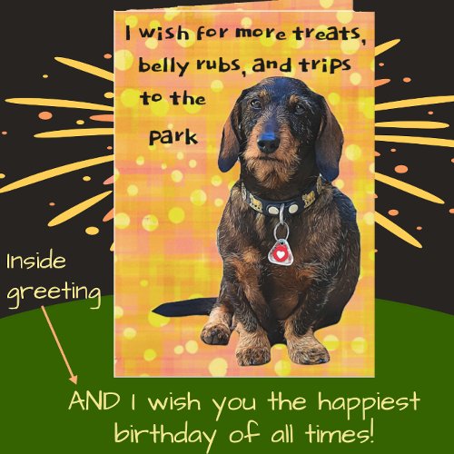 Wire_haired Dachshund Fun Bright Happy Birthday Card