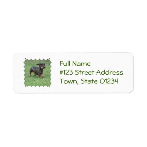 Wire Haired Dachshund Label