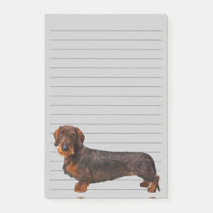 Wire Haired Dachshund Post-it Notes