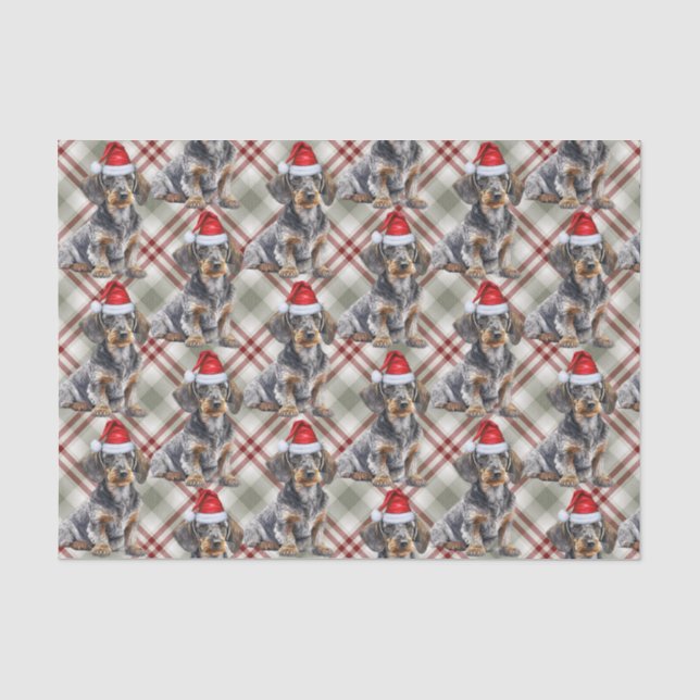 Wire Haired Dachshund Santa Dog Plaid Christmas Tissue Paper (Front)