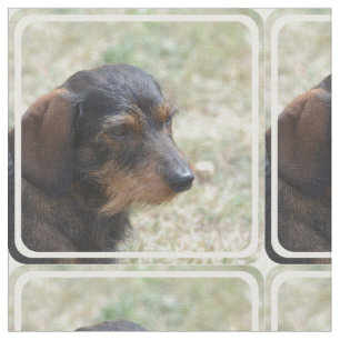 Wire Haired Daschund Dog Fabric