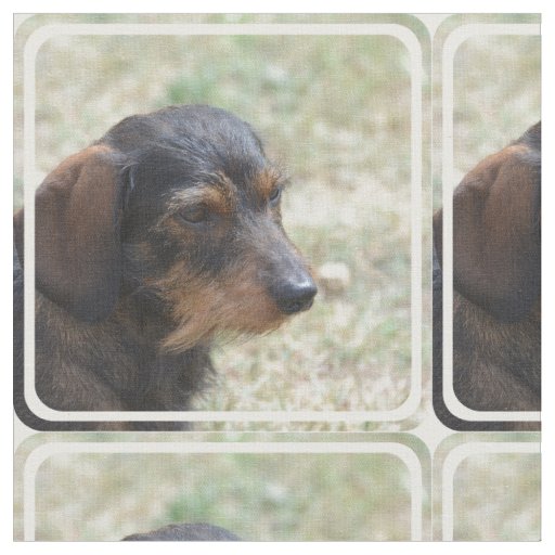 Wire Haired Daschund Dog Fabric