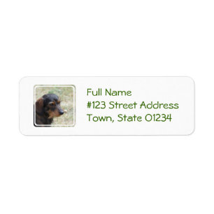 Wire Haired Daschund Dog Label