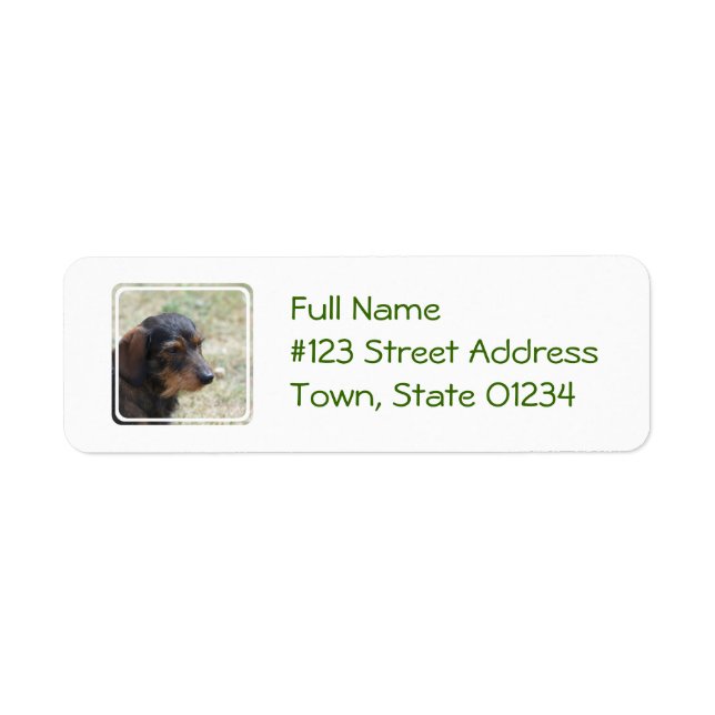 Wire Haired Daschund Dog Label (Front)