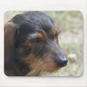 Wire Haired Daschund Dog Mouse Pad