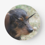 Wire Haired Daschund Dog Round Clock