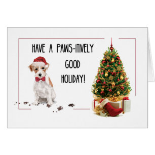 Wire Haired Jack Russell Terrier Funny Christmas Cards