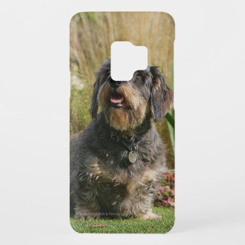 Wire_haired Standard Dachshund Case_Mate Samsung Galaxy S9 Case