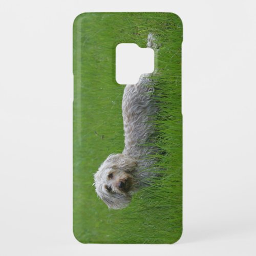 Wire_haired Standard Dachshund in Grass Case_Mate Samsung Galaxy S9 Case