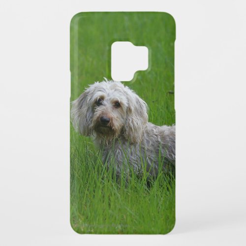 Wire_haired Standard Dachshund in Grass Case_Mate Samsung Galaxy S9 Case