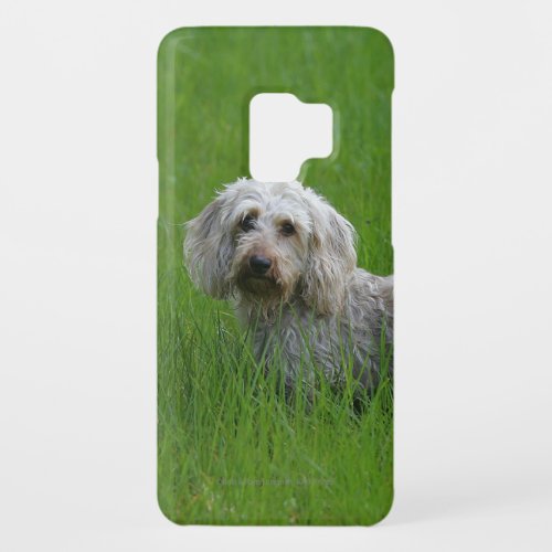 Wire_haired Standard Dachshund in Grass Case_Mate Samsung Galaxy S9 Case