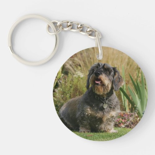 Wire_haired Standard Dachshund Keychain