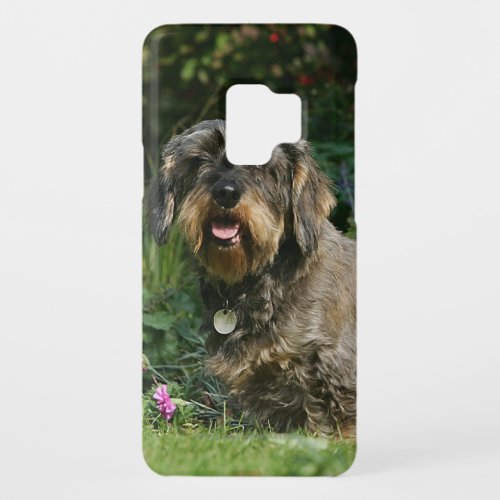 Wire_haired Standard Dachshund Sitting Case_Mate Samsung Galaxy S9 Case