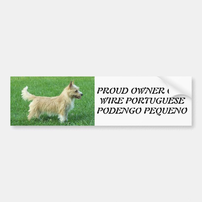 Wire Portuguese Podengo Pequeno Bumper Sticker (Front)