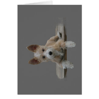 Wire Portuguese Podengo Pequeno Cards