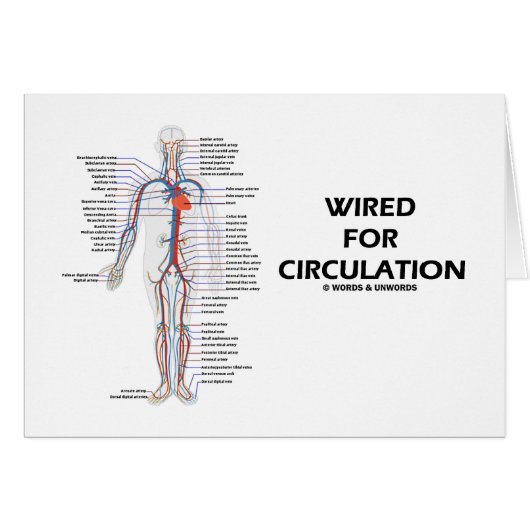 Wired For Circulation (Circulatory System) Cards (Front Horizontal)