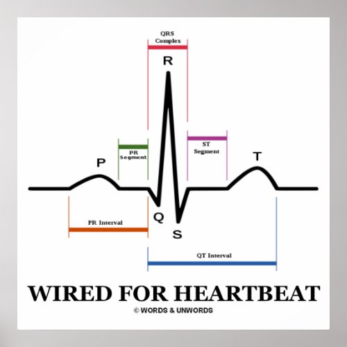 Wired For Heartbeat ECG  EKG Electrocardiogram Poster