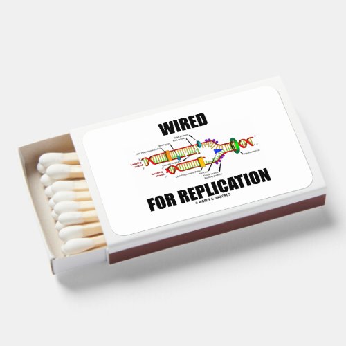 Wired For Replication DNA Replication Matchboxes