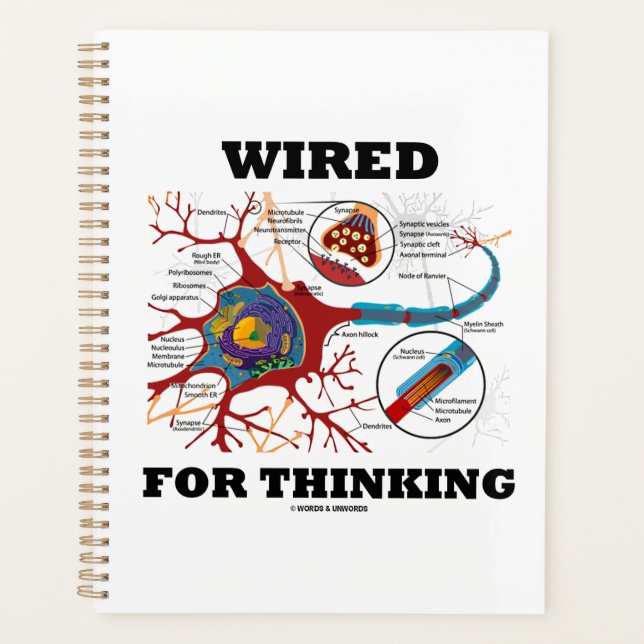 Wired For Thinking Neuron Synapse Neuropsychology Planner (Front)