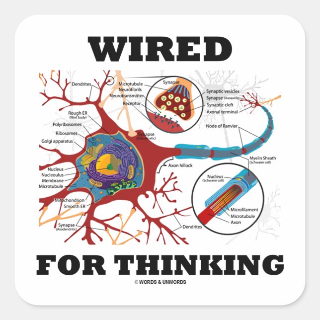 Wired For Thinking (Neuron Synapse) Square Sticker (Front)