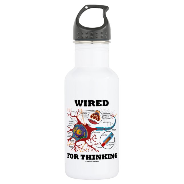 Wired For Thinking (Neuron Synapse) Stainless Steel Water Bottle (Front)