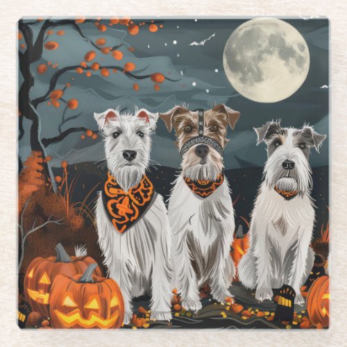 Wirefox Terrier Halloween Spooky  Glass Coaster