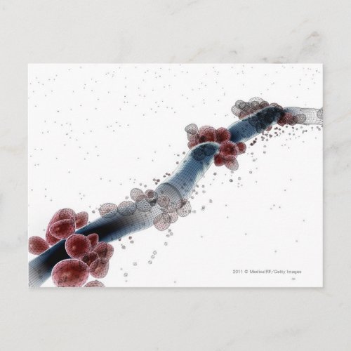Wireframe microscopic view of candida albicans postcard