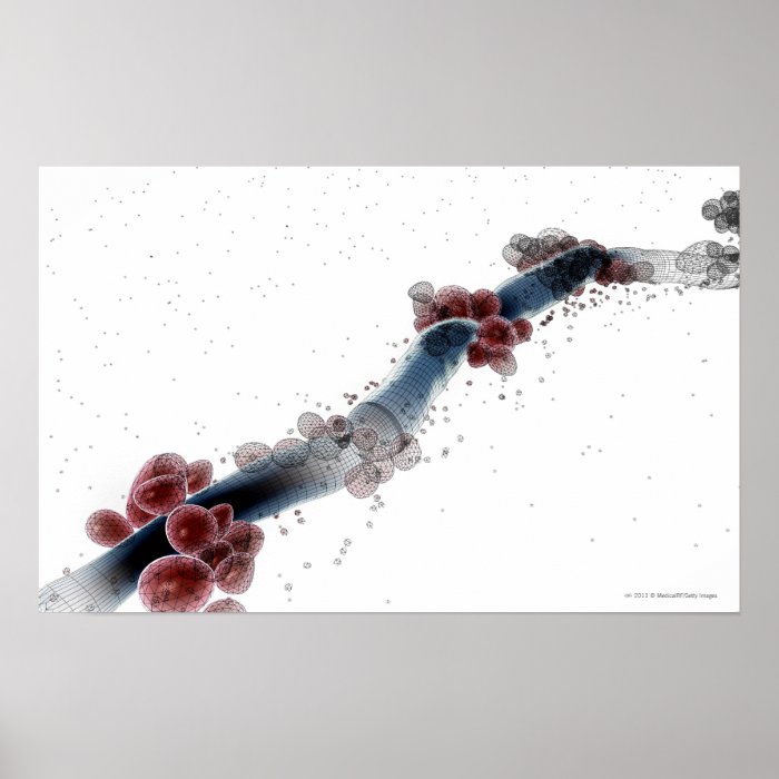 Wireframe microscopic view of candida albicans print