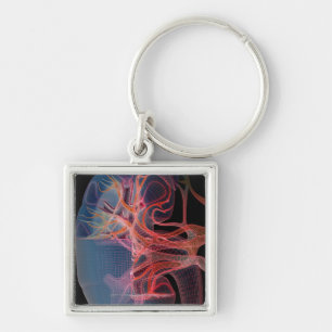 Wireframe of the inside of a kidney keychain